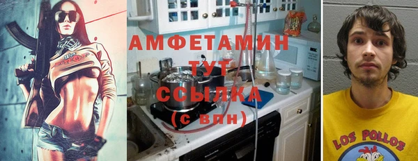 стаф Алексин