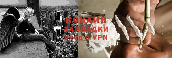 стаф Алексин